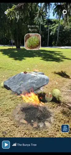 Walking on Country Bunya Tree story moment with AR content.